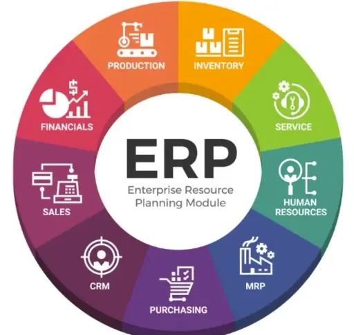 Enterprise Application Go-Live Support